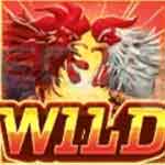เล่นสล็อต-Rooster-Rumble-Wild